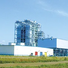 事業内容